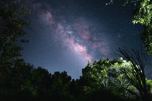 Sky and Mountain Forest at Night with Milky Way Galaxy