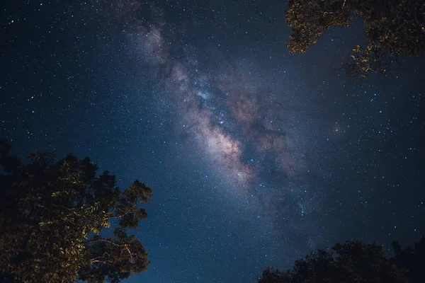 Sky Mountain Forest Night Milky Way Galaxy — Foto Stock