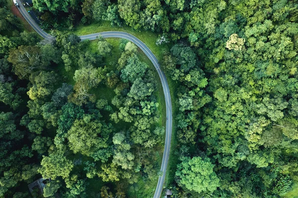 Yeşil Yaz Ağacı Ormanın Havadan Görünüşü Bir Yol Yukarıdaki Yol — Stok fotoğraf
