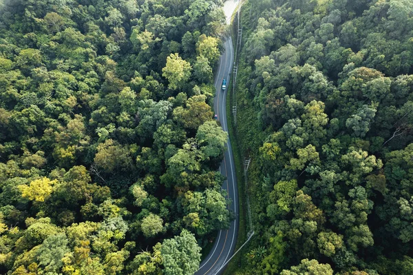 Aerial View Green Summer Tree Forest Road Road Form — Zdjęcie stockowe