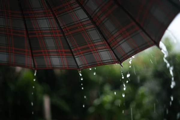 water droplets on rainy day