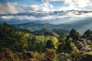 landscape view on high green hill in evening
