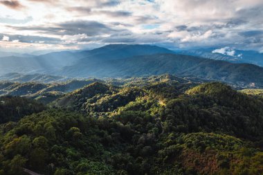 landscape view on high green hill in evening