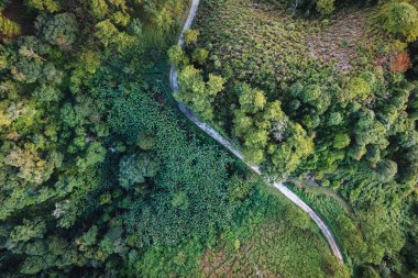 landscape view on high green hill in evening