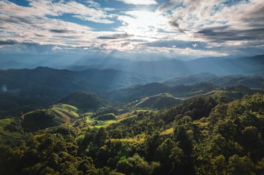 landscape view on high green hill in evening