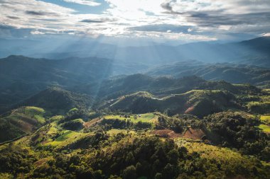 landscape view on high green hill in evening