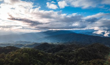 landscape view on high green hill in evening
