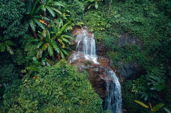 Cachoeira Floresta Tropical — Fotografia de Stock