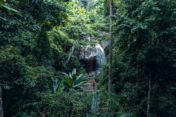 Cascada Bosque Tropical — Foto de Stock