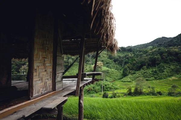 Green Rice Field Terraced Chiangmai —  Fotos de Stock