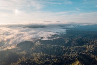 Fog in the mountains at sunrise. Morning fog in the mountains form above