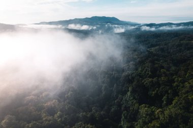 Fog in the mountains at sunrise. Morning fog in the mountains form above