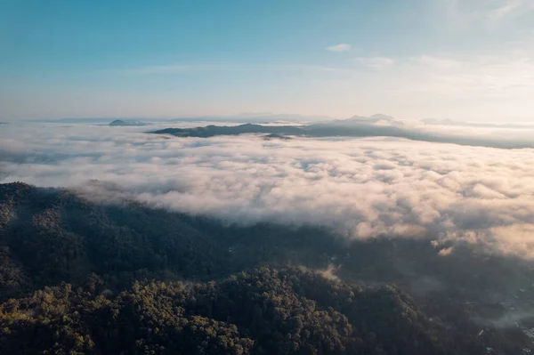 Fog in the mountains at sunrise. Morning fog in the mountains form above