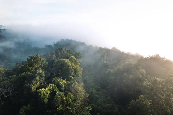 Fog in the mountains at sunrise. Morning fog in the mountains form above