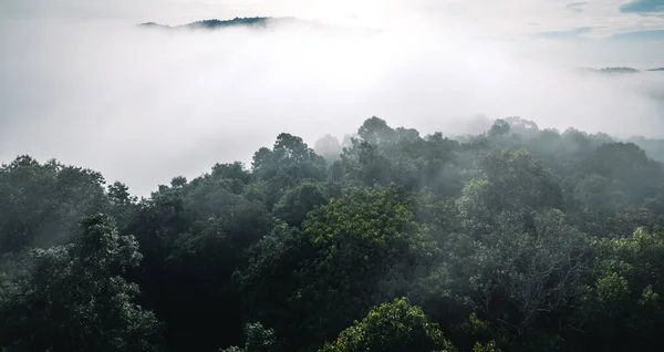 Fog in the mountains at sunrise. Morning fog in the mountains form above