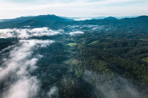 Fog in the mountains at sunrise. Morning fog in the mountains form above