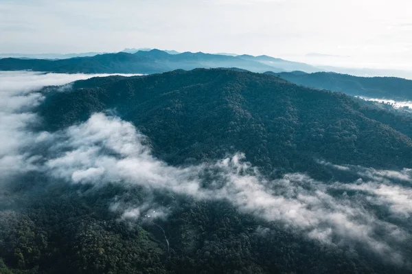 Fog in the mountains at sunrise. Morning fog in the mountains form above