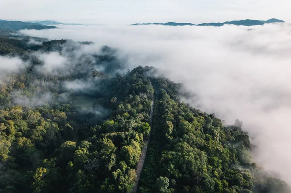 Fog in the mountains at sunrise. Morning fog in the mountains form above