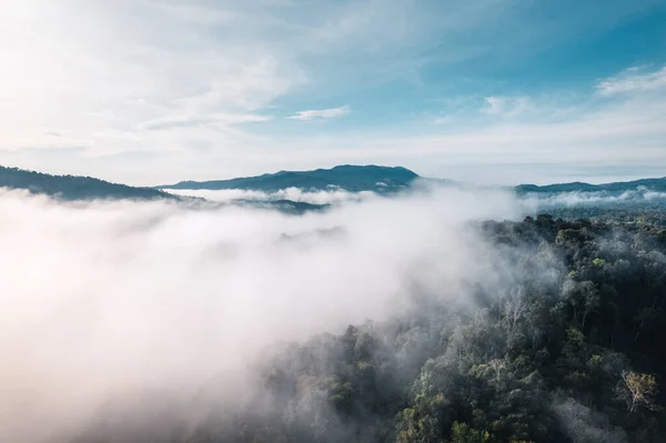 Fog in the mountains at sunrise. Morning fog in the mountains form above