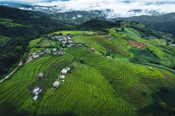 Campo Arroz Verde Terrazas Chiangmai Tailandia —  Fotos de Stock