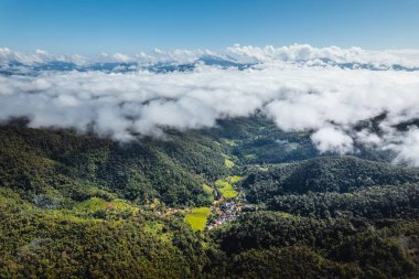 Bulutlu mavi gökyüzü Yazın yeşil ormanı