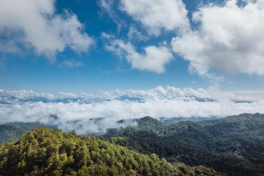 Bulutlu mavi gökyüzü Yazın yeşil ormanı