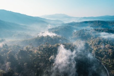 Dağların manzarası, Tepedeki ormanda sabah sisi ve bulutları