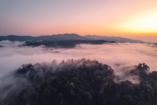 Vista Panorámica Las Montañas Niebla Matutina Nubes Bosque Montañoso — Foto de Stock
