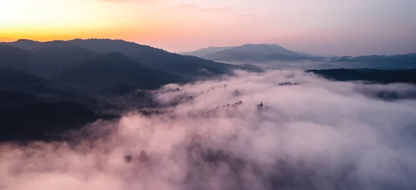 Dağların Manzarası Tepedeki Ormanda Sabah Sisi Bulutları — Stok fotoğraf