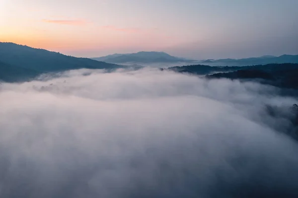 Vista Panorámica Las Montañas Niebla Matutina Nubes Bosque Montañoso — Foto de Stock