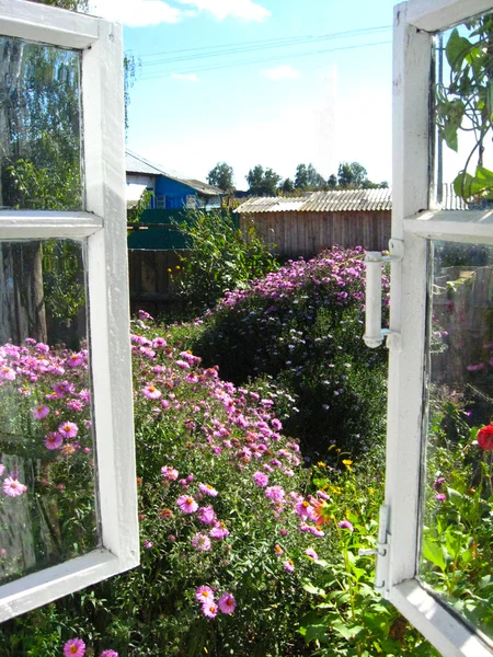 Fenêtre dans un jardin — Photo