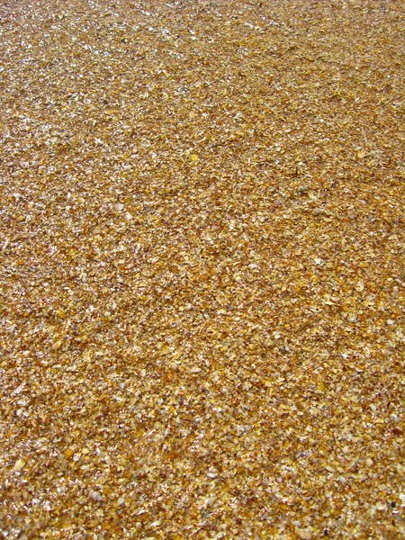 Background from sand and cockleshells — Stock Photo, Image