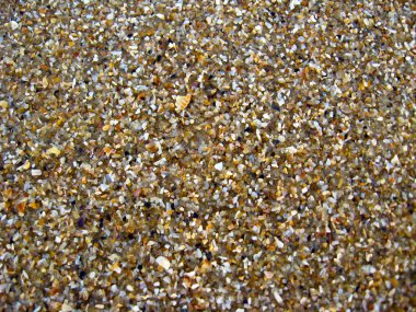 kum ve cockleshells arka plan