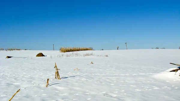 Landschaft mit Schnee auf dem Feld — Stockfoto