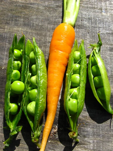 Beaucoup de carottes — Photo