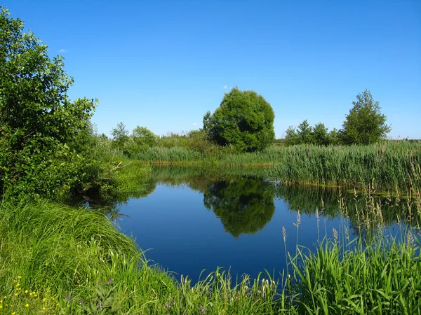 Paisagem de verão com lago pitoresco — Fotografia de Stock