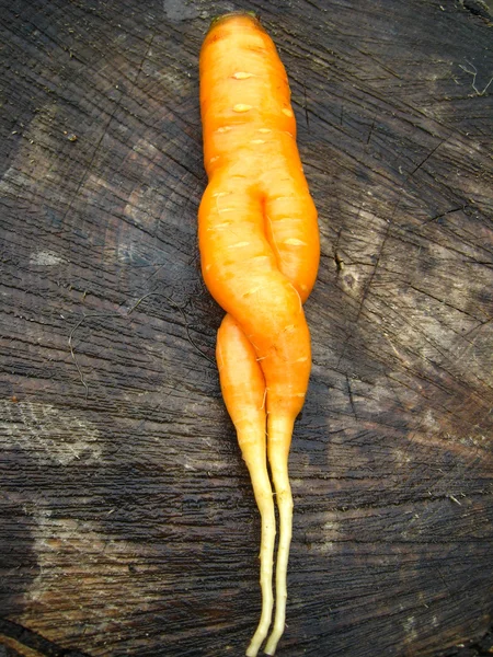 Alışılmadık bir carrot bir saplama üzerinde yalan — Stok fotoğraf