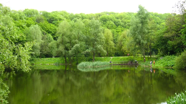 Lac pittoresque dans la forêt — Photo