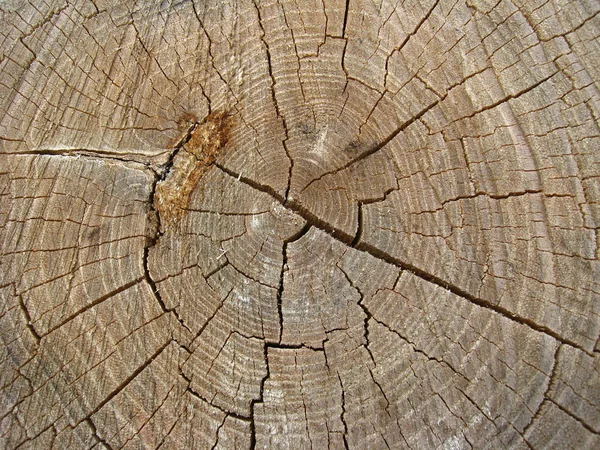 Fondo oscuro de madera con división — Foto de Stock