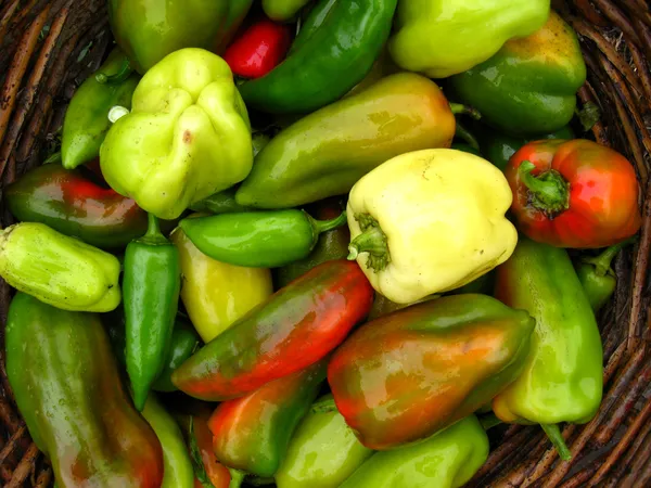 Crop of multicolour Bulgarian pepper — Stock Photo, Image