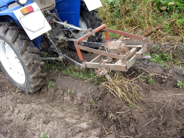 Processen för skörd av en potatis av traktor — Stockfoto