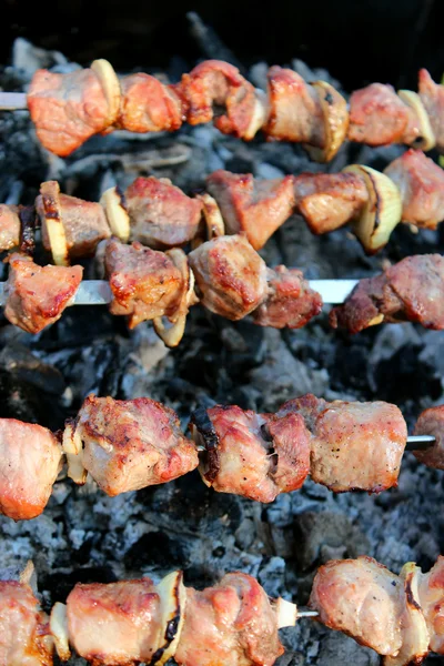 Apetecible barbacoa en el fuego — Foto de Stock