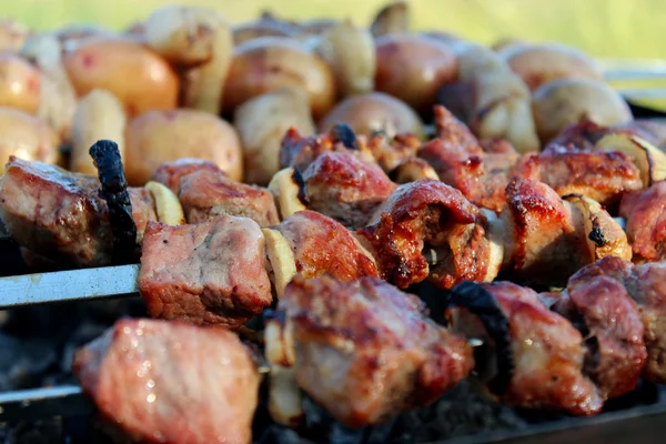 Apetitiva barbacoa en el humo — Foto de Stock