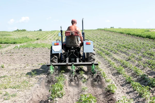 Special equipment on a tractor for weed in agriculture — Stock Photo, Image