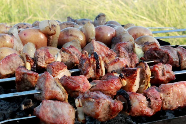 Apetecible barbacoa en el fuego — Foto de Stock