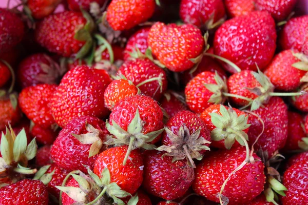 成熟的草莓一套 — 图库照片