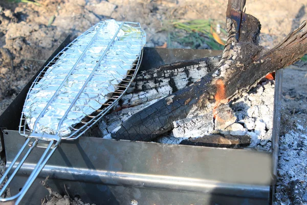 Plato de pescado frito cocido al fuego —  Fotos de Stock