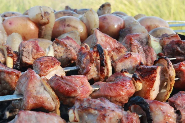 Smakelijk barbecue op het vuur — Stockfoto