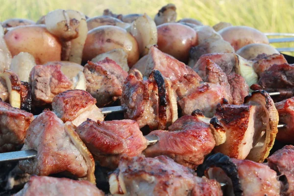 Apetecible barbacoa en el fuego — Foto de Stock