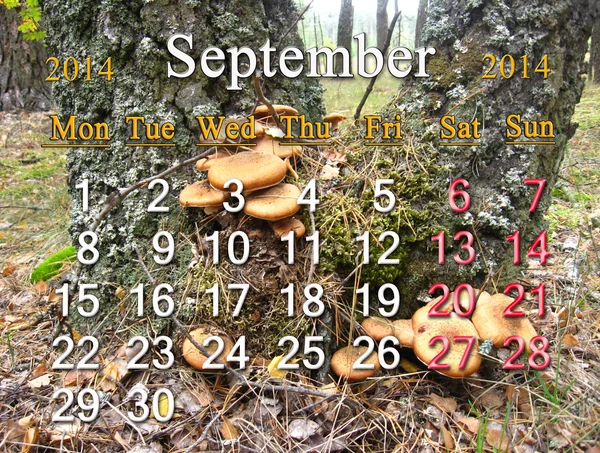 Calendario per il mese di settembre 2014 sullo sfondo di funghi — Foto Stock